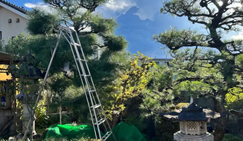 定期メンテナンス