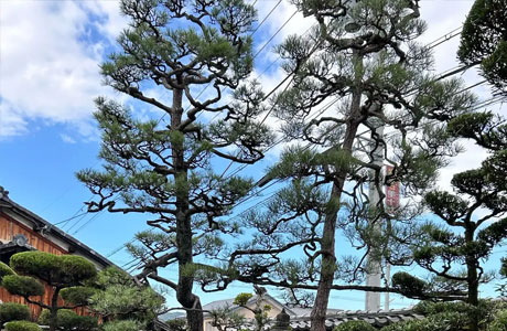 外構施工はTANAKENへ